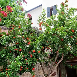 https://locanda-alla-posta.hotelinveneto.com